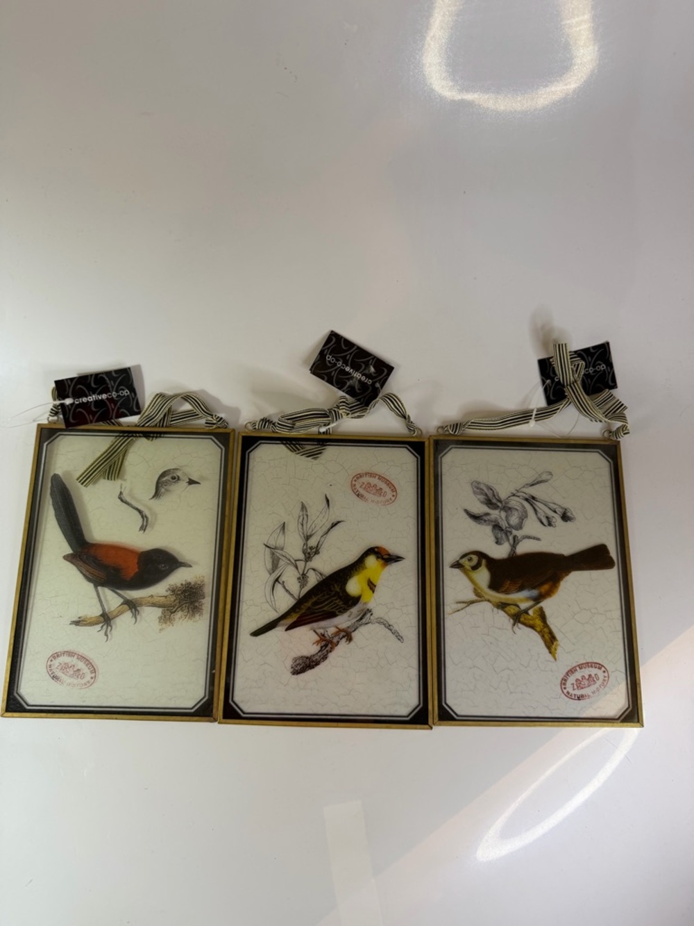 Creative Co-Op Bird Plaque Trio – Glass. NWT